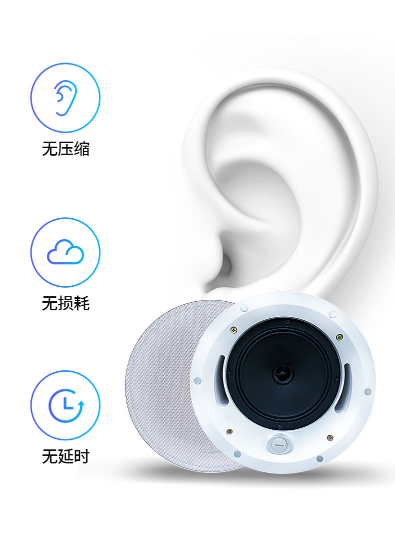 别走弯路了,带您了解一根网线的音箱(图4) 别走弯路了,带您了解一根网线的音箱(图4)